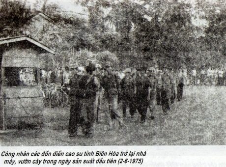 Công nhân các đồn điền cao su tỉnh Biên Hòa trở lại nhà máy, vườn cây trong ngày sản xuất đầu tiên (2-6-1975)