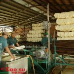Kon Tum: Xây dựng nhà máy chế biến mủ tờ tại huyện Ia H’Drai