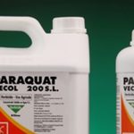Vì sao loại bỏ thuốc bảo vệ thực vật chứa hoạt chất 2.4D và Paraquat?
