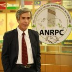 ANRPC sẽ can thiệp để bình ổn giá cao su