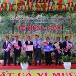 Năng suất vườn cây Cao su Phú Riềng dẫn đầu VRG