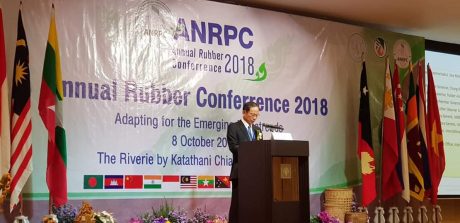 Ông Trần Ngọc Thuận - Chủ tịch ANRPC phát biểu tại hội nghị.