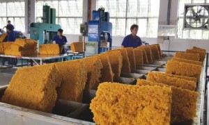 Cao su thiên nhiên từ VN nhập khẩu vào các nước thành viên CPTPP giảm còn 0%. Ảnh: P.V