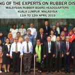 Phát hiện 2 bệnh mới trên cây cao su tại Indonesia và Malaysia