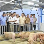 Phó Chủ tịch Quốc hội tham quan mô hình chăn nuôi 4F của Quế Lâm