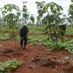 Cần đẩy mạnh tập huấn quản lý rừng bền vững cho người lao động