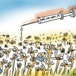 Hy vọng được tiêm vaccine sớm