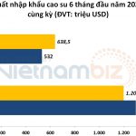Xuất khẩu tăng vọt nhưng Việt Nam lại nhập siêu 100 triệu USD cao su trong nửa đầu năm