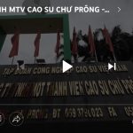 Công ty TNHH MTV Cao su Chư Prông - Bước tiếp truyền thống Anh hùng Lao động