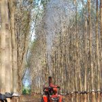 Nhiều giải pháp nâng cao năng suất vườn cây tại Hội nghị nông nghiệp Cao su Kon Tum