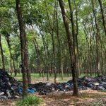 Truy tìm người đổ trộm hơn 20 tấn rác thải ở Bình Phước