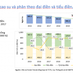 Kết nối thúc đẩy sản xuất cao su thiên nhiên bền vững tại Việt Nam