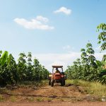 Nông nghiệp công nghệ cao: Tiến tới làm chủ các dự án