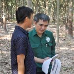Cao su Phước Hòa – Kampong Thom: Chủ động nhiều giải pháp để hoàn thành sản lượng được giao