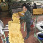 Hà Lan tăng nhập khẩu cao su từ thị trường Việt Nam