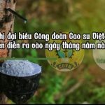 Tìm hiểu lịch sử Đại hội Công đoàn Cao su Việt Nam qua các thời kỳ - Phần 1