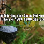 Tìm hiểu lịch sử Đại hội Công đoàn Cao su Việt Nam qua các thời kỳ - phần 3