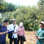 Hội Nhà báo tỉnh Gia Lai tổ chức cho hội viên đi thực tế tại huyện Chư Pưh và Chư Sê