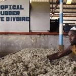 Các nhà máy chế biến nông sản Trung Quốc giúp nâng cấp ngành cao su ở Côte d’Ivoire