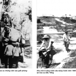 Cây cao su ở Việt Nam dưới góc nhìn lịch sử - sinh thái (1897 - 1975): CHUYỂN DÒNG
