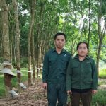 Lỳ Xìa Dìa: Công nhân ưu tú trên cánh rừng cao su Nghệ An