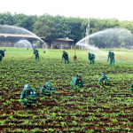 Nâng cao chất lượng hoạt động phong trào thi đua