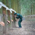 60 đoàn tham gia tranh tài tại Hội thi Bàn tay vàng VRG lần thứ XIV