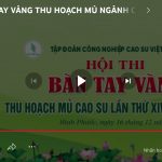 Trực tiếp Hội thi Bàn tay vàng 2024