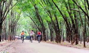 Ảnh: Nguyễn Quốc Thịnh