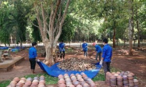 Các cơ sở Đoàn ra quân Ngày chủ nhật xanh