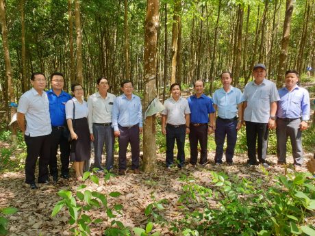 Tham quan vườn cây khai thác tại NT Nông Sơn