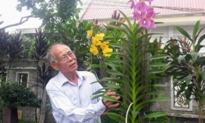 Ông Lê Văn Khoa chăm sóc cây kiểng tại vườn nhà.