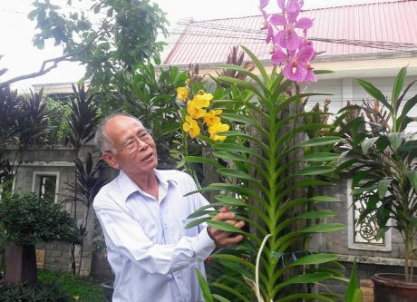 Ông Lê Văn Khoa chăm sóc cây kiểng tại vườn nhà. 
