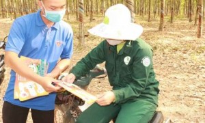 ĐVTN Cao su Dầu Tiếng phát tờ rơi và tặng khẩu trang tại lô cao su