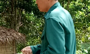 Anh Võ Văn Lan cho đàn gà ăn