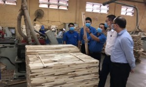 Đoàn công tác Đoàn Khối DNTW đến thăm và làm việc với Đoàn cơ sở Công ty CP Chế biến gỗ Thuận An. Ảnh: Châu Thị Phương Linh