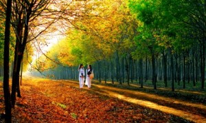 Dưới nắng Xuân. Ảnh: Bùi Thái Dũng