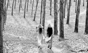 Ảnh: Bùi Thái Dũng