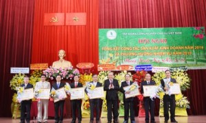 Đ/c Trương Hòa Bình - Ủy viên Bộ Chính trị, Phó Thủ tướng thường trực Chính phủ, trao Huân chương Lao động cho các cá nhân tại hội nghị.