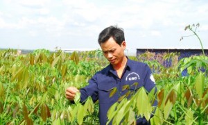 Anh Trịnh Văn Hạnh bên vườn giống chuẩn bị cho mùa tái canh mới.