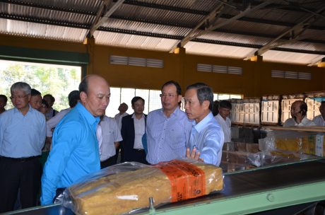Đoàn đại biểu TKV tham quan Nhà máy chế biến của TCT Cao su Đồng Nai