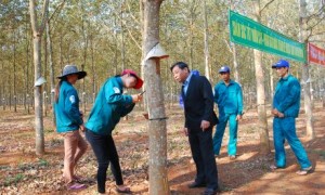 Công nhân mở cạo ra quân
