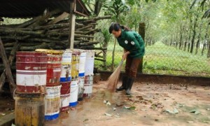 Dọn dẹp vệ sinh phòng chống dịch SXH tại NT Ia Tiêm – Cao su Chư Sê