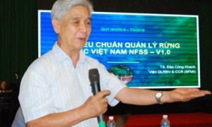 Giáo sư, TSKH Nguyễn Ngọc Lung phát biểu tại một hội thảo phổ biến kiến thức quản lý rừng bền vững, tháng 3/2019, tại Bình Định.