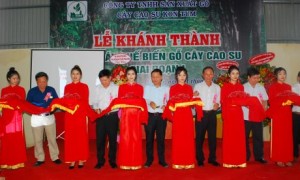 Lãnh đạo VRG, Hệ thống Nhất Hương và Cao su Kon Tum cắt băng khánh nhà máy chế biến cây gỗ cao su