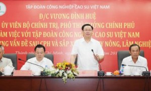 Phó Thủ tưởng Chính phủ Vương Đình Huệ phát biểu tại buổi làm việc với VRG vào ngày 18/4/2019. Ảnh: Vũ Phong