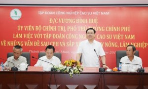 Phó Thủ tướng Chính phủ Vương Đình Huệ phát biểu tại buổi làm việc