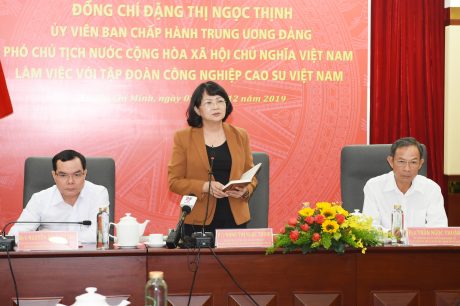 Phó Chủ tịch nước Đặng Thị Ngọc Thịnh phát biểu chỉ đạo tại buổi làm việc