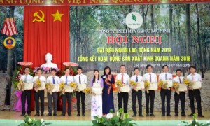 Hội nghị Người lao động Công ty TNHH MTV Cao su Lộc Ninh.