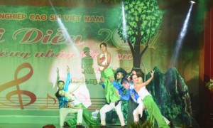 Một tiết mục tại Hội diễn năm 2017.